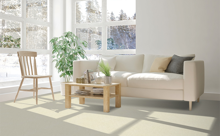 hypoallergenic carpet in living room with white couch and wood coffee table
